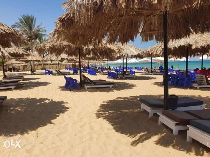 شاليه فرش فندقي بقرية بالميرا بيتش العين السخنه للعائلات Ajn-Szuhna Kültér fotó